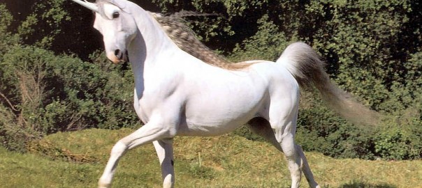 The Unicorn Awards